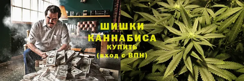 где купить наркоту  Сольцы  Конопля Amnesia 